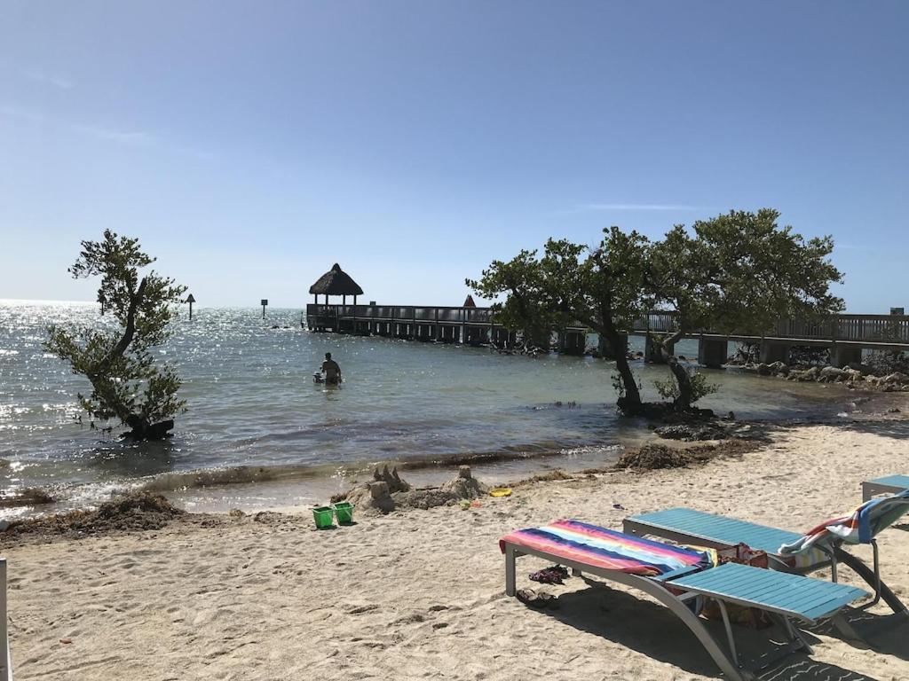 Tropical Daze Oceanfront Paradise Tavernier Luaran gambar